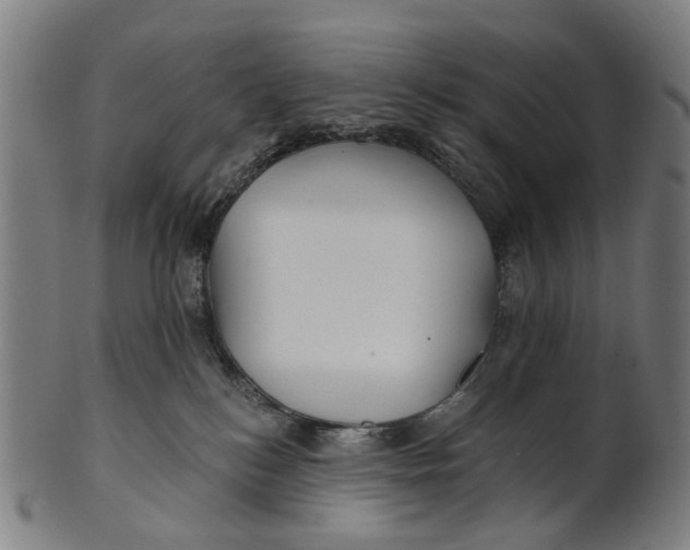 X0000100870184200807111327