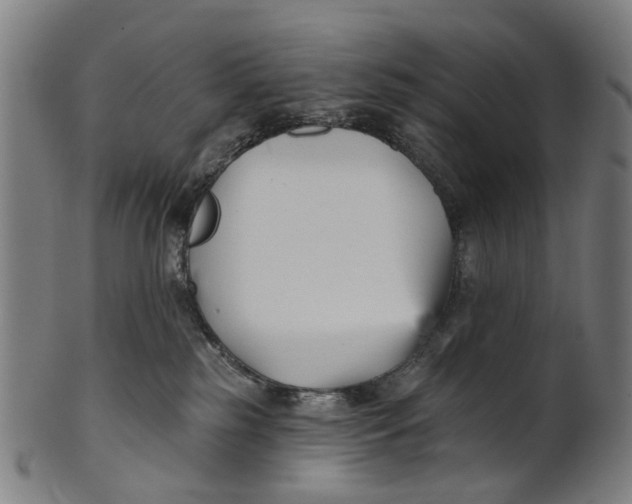 X0000100870185200807111327