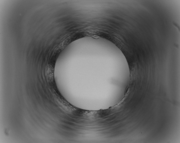 X0000100870186200807111327