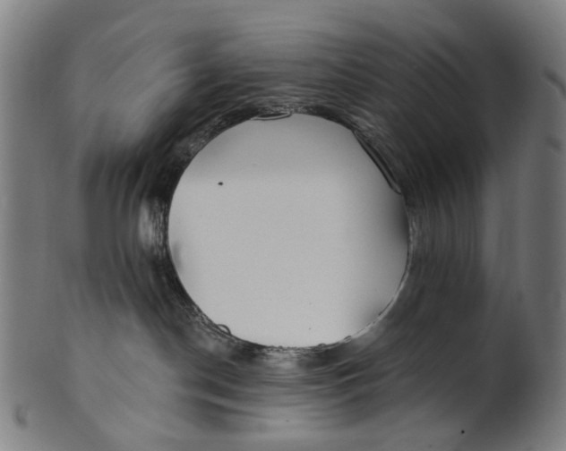 X0000100870190200807111327