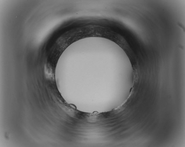X0000100870191200807111327
