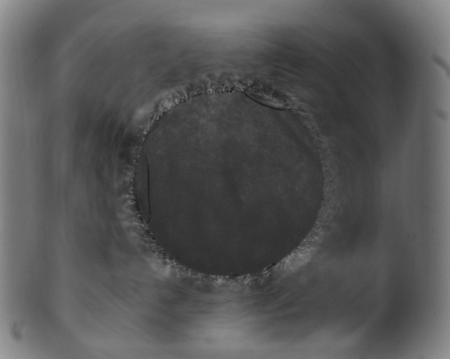 X0000100870192200807111327