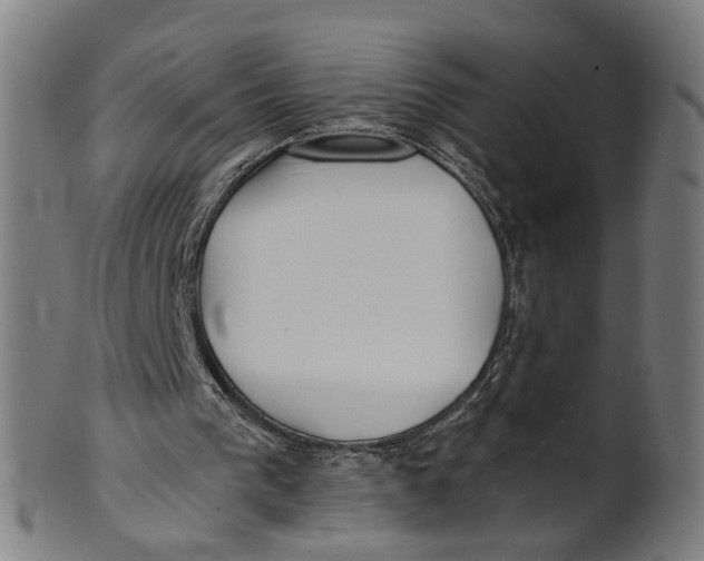 X0000100870193200807111326