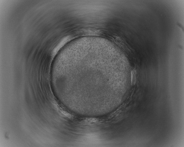 X0000100870195200807111326