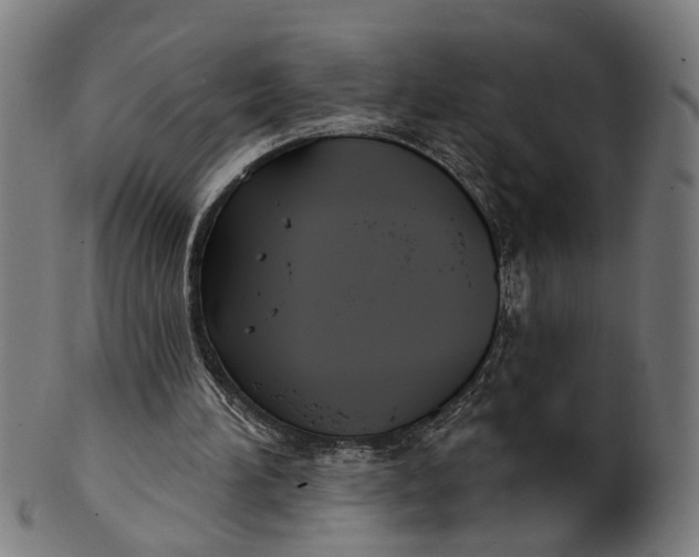 X0000100870196200807111326