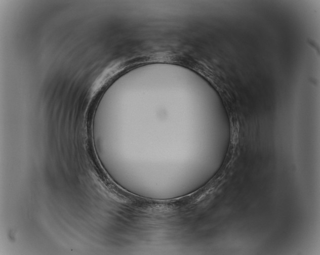 X0000100870198200807111326