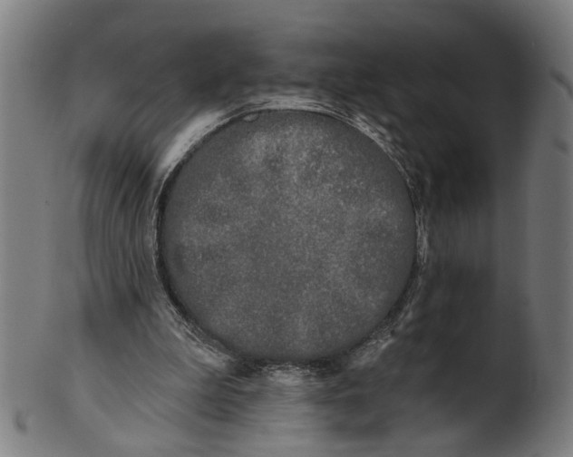 X0000100870199200807111326