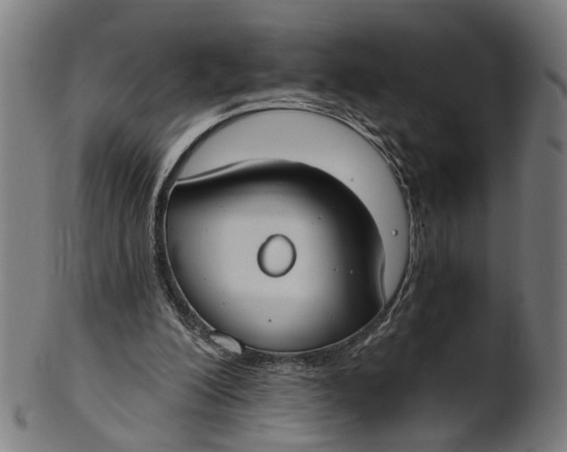 X0000100870200200807111326