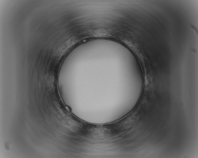 X0000100870201200807111326