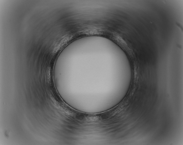 X0000100870202200807111326