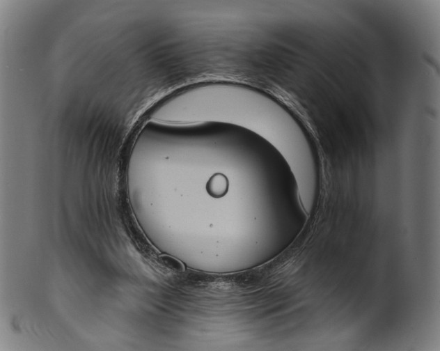 X0000100870204200807111326