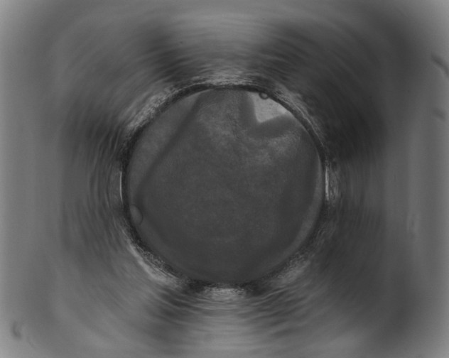 X0000100870205200807111326