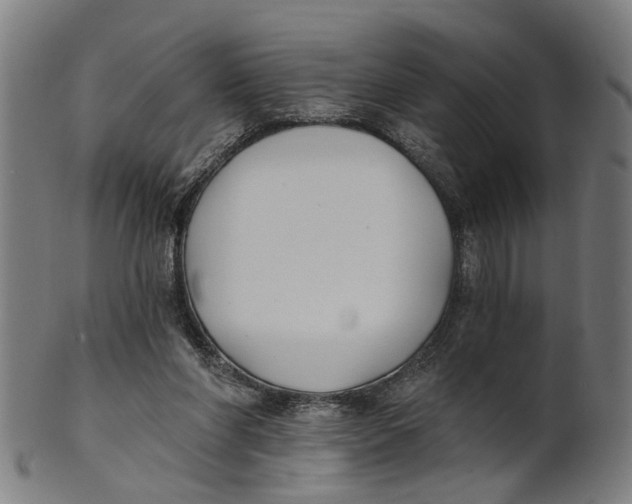 X0000100870206200807111326