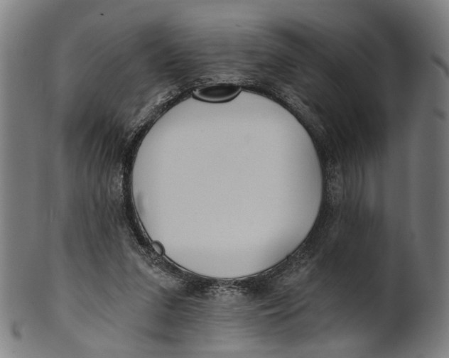 X0000100870207200807111326