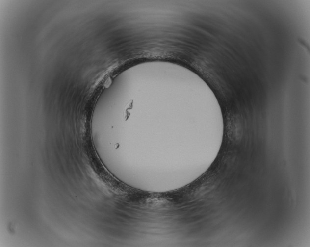 X0000100870208200807111326