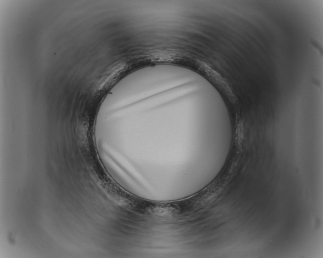 X0000100870209200807111326