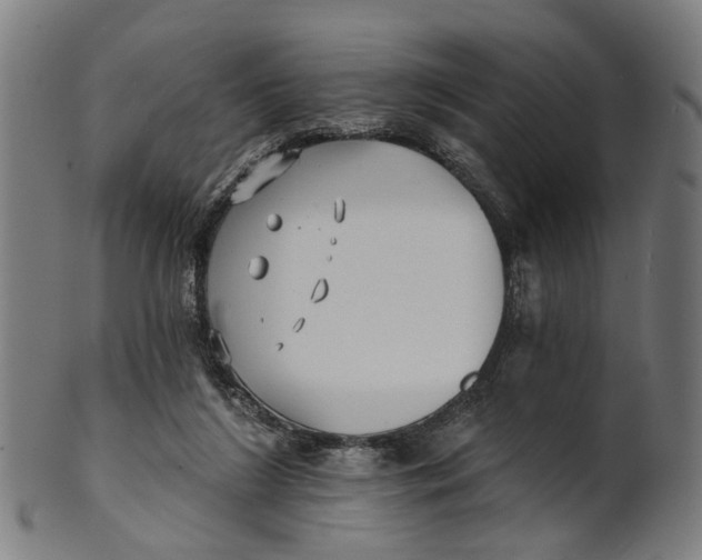 X0000100870212200807111326