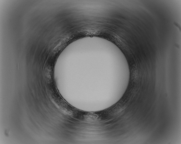 X0000100870215200807111326