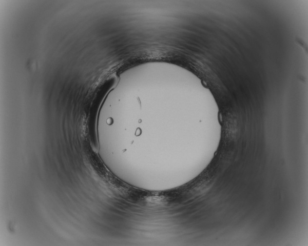 X0000100870216200807111326