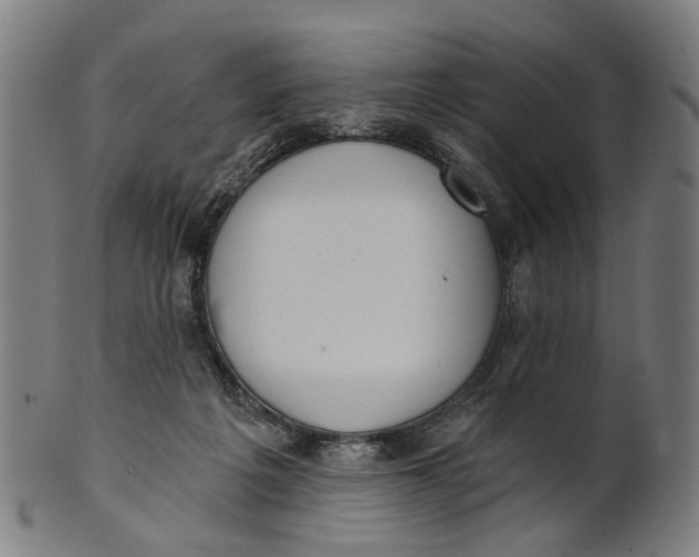 X0000100870217200807111326