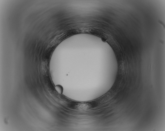 X0000100870218200807111326