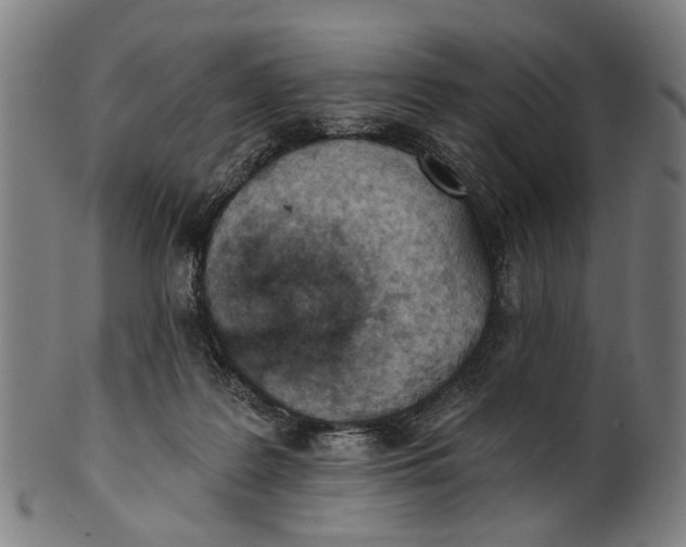 X0000100870219200807111326