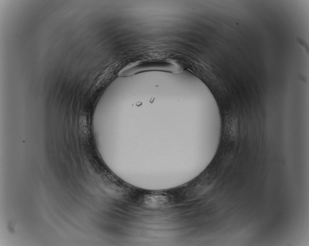 X0000100870220200807111326