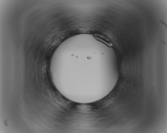 X0000100870221200807111326