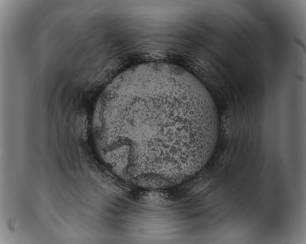 X0000100870223200807111326