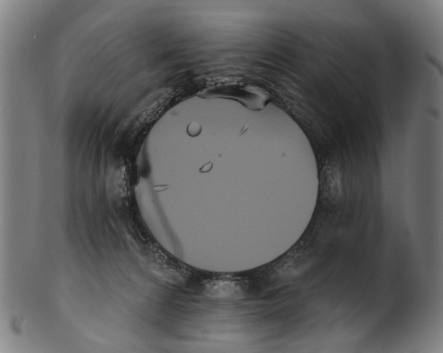 X0000100870224200807111326