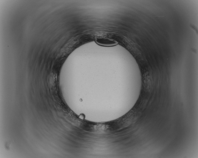 X0000100870225200807111326