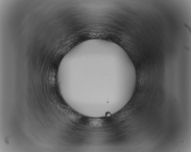 X0000100870226200807111325