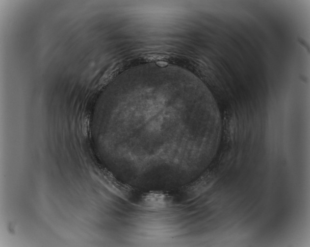 X0000100870227200807111325