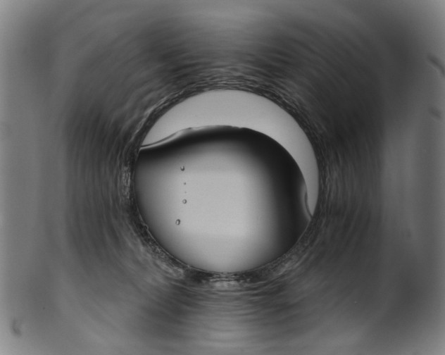 X0000100870228200807111325