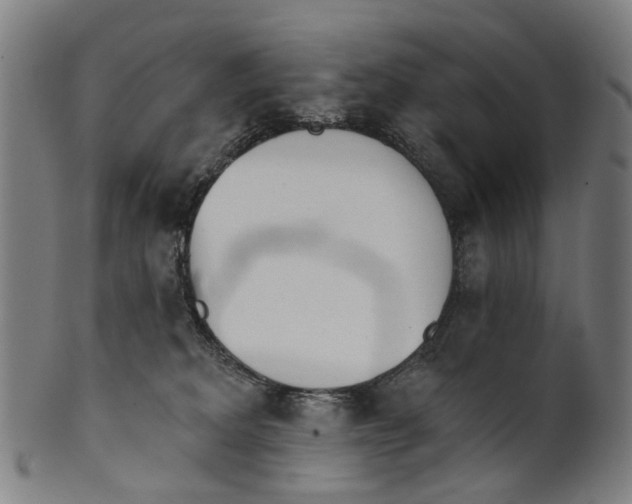 X0000100870229200807111325