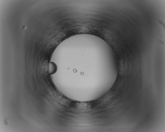 X0000100870230200807111325