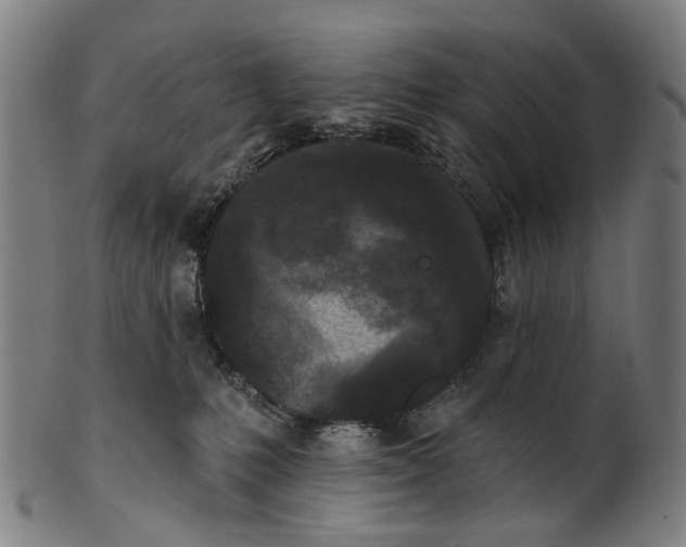 X0000100870231200807111325