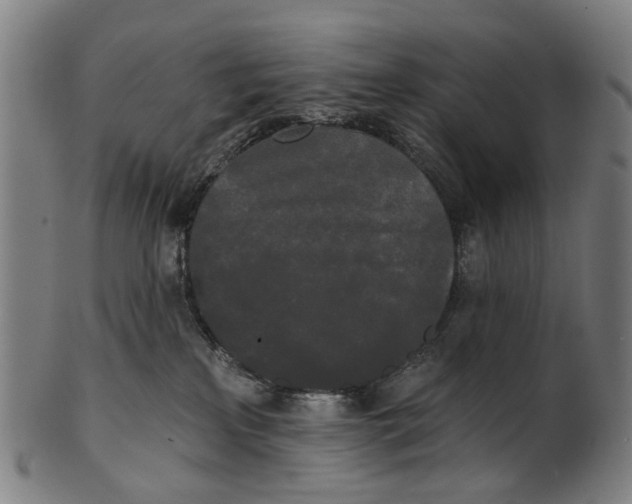 X0000100870233200807111325