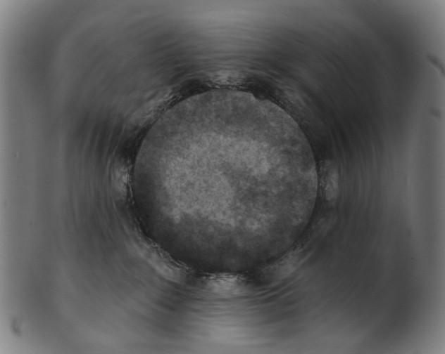 X0000100870235200807111325