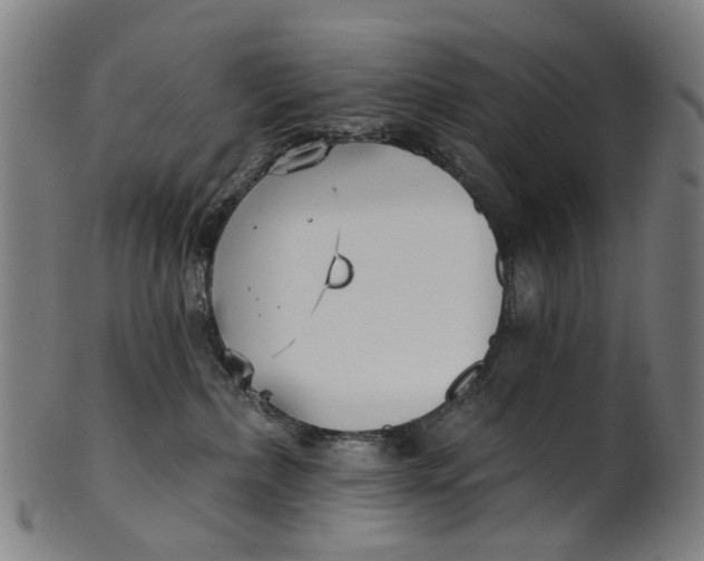 X0000100870236200807111325