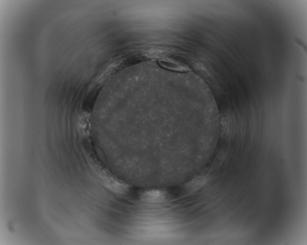 X0000100870237200807111325