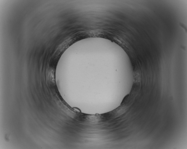 X0000100870238200807111325