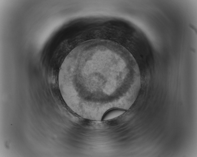 X0000100870239200807111325