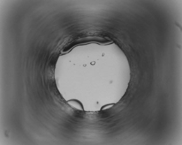 X0000100870240200807111325