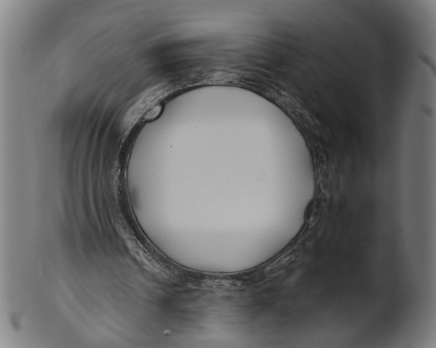 X0000100870242200807111325