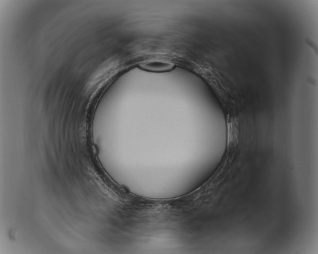 X0000100870243200807111325