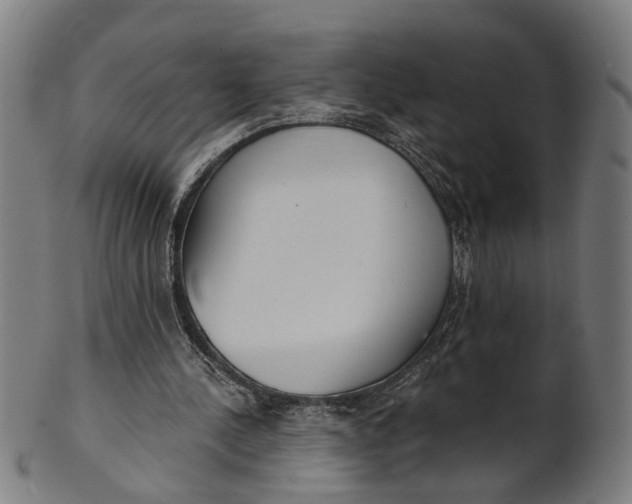 X0000100870244200807111325