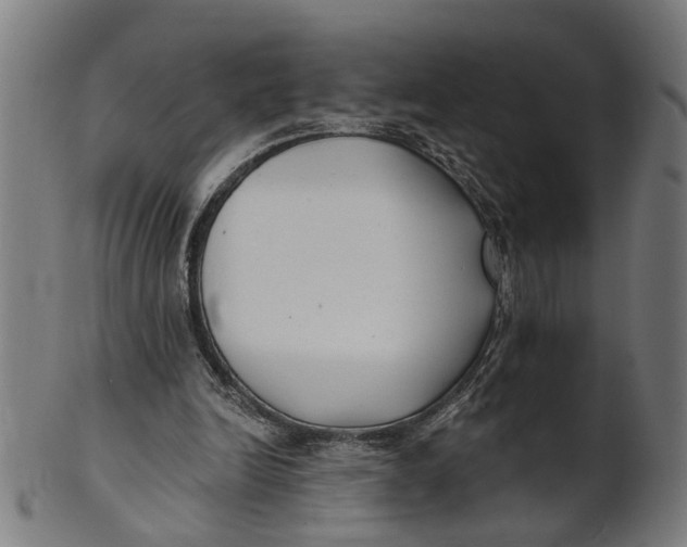 X0000100870246200807111325