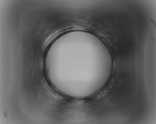 X0000100870247200807111325