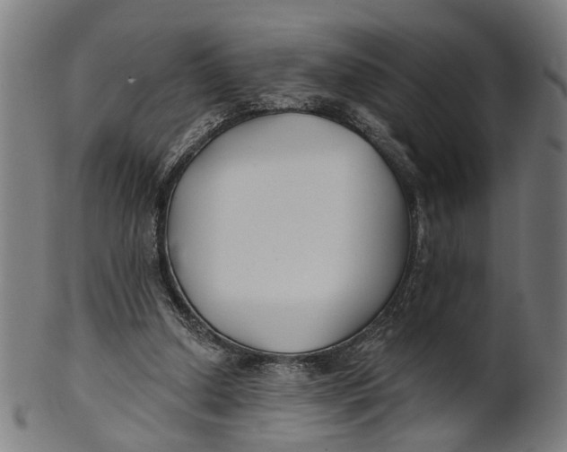 X0000100870250200807111325